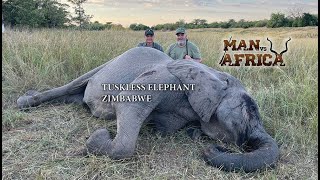 Man vs Africa Tuskless Elephant Zimbabwe [upl. by Graff867]