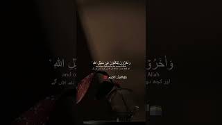 love quranrecitation [upl. by Noizneb]