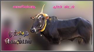 Vaniyambadi super star Oththa Komban [upl. by Alliber274]