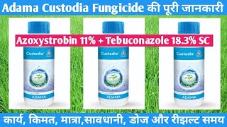 Adama Custodia Fungicide Azoxystrobin Tebuconazole [upl. by Glory]