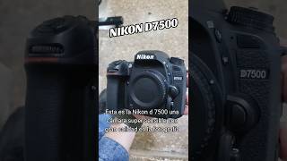 NIKON D7500 una cámara super sensible con gran calidad fotográfica y video 4k Crop [upl. by Che546]