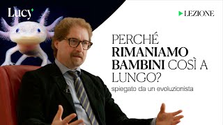 Perché rimaniamo bambini così a lungo La lezione di Telmo Pievani  Lucy  Sulla cultura [upl. by Nallek672]