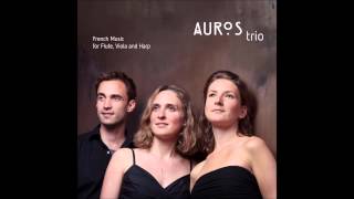 Auros Trio plays Jean  Marie Leclair Sonata d  major op 2  8 Sarabanda Largo [upl. by Euphemiah]