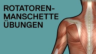 ROTATORENMANSCHETTE ÜBUNGEN ohne Geräte auch gegen Schulterschmerzen [upl. by Nakah286]