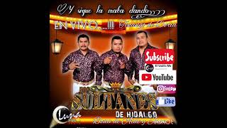 Trio Los Sultanes de Hidalgo en vivo Luna Pro Audio 7711610346 Sonorizaciones [upl. by Ainotahs]