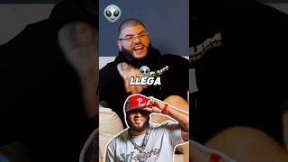 El alfa farruko habla de la canción Xoxo elalfaeljefe alofokeradioshow alofoke yailinlamásviral [upl. by Dnalyr]