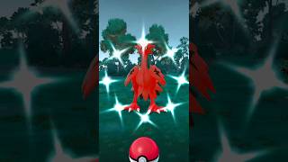 ✨Shiny Galarian Zapdos in pokemon go pokemongo soparstart shiny [upl. by Neerual]