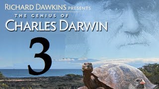 Richard Dawkins  The Genius of Charles Darwin  Part 3 God Strikes Back Subs [upl. by Aneed]