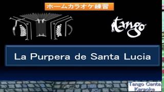 ホームカラオケ練習 La Pulpera de Santa LuciaKaraoke Japones ver [upl. by Wheelwright]