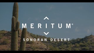 Meritum Sonoran Desert  Coming Soon [upl. by Hera]