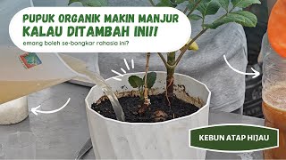 agar pupuk organik naik level dari pupuk bagus menjadi luar biasa [upl. by Leahciam446]