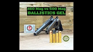 460 SampW Magnum vs 500 SampW Magnum Ballistics Gel [upl. by Davies]