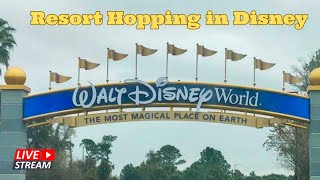 🔴 Live  Resort Hopping and More  Walt Disney World 2102024 [upl. by Sacci]