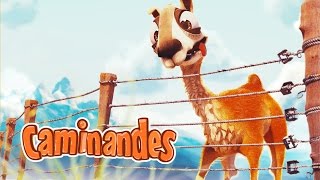 Caminandes 2 Gran Dillama  Animation Short Film for Children [upl. by Weitman]