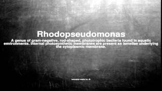 Medical vocabulary What does Rhodopseudomonas mean [upl. by Jackie]