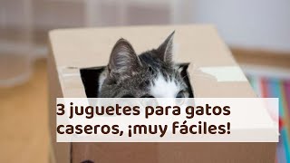 3 juguetes para gatos caseros ¡muy fáciles [upl. by Si]