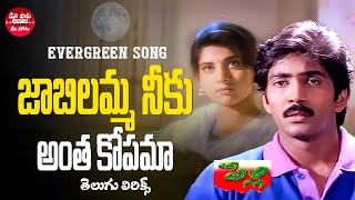 Jabilamma Neeku Anta Kopama Song Telugu Lyrics  Pelli Movie  Naveen Maheswari Maa Paata Mee Nota [upl. by Dedie]