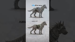 EVERYTHING to know about the Armadoggo in ARK  Survival Ascended [upl. by Caputo]