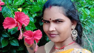 sonali Nishad Rk🌹 is live [upl. by Kenlee334]