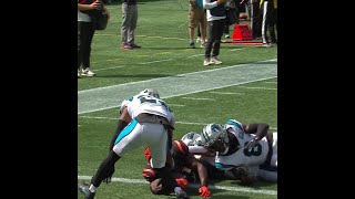 Zack Moss catches for a 1yard Touchdown vs Carolina Panthers [upl. by Sparkie388]