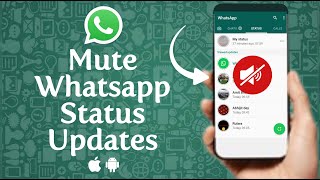 How to Mute and Unmute Someone WhatsApp Status Updates [upl. by Atileda]