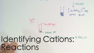 Identifying Cations Reactions [upl. by Lindell120]