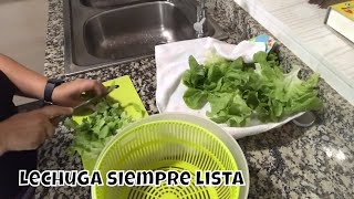 DOS MANERAS PARA CONSERVAR LA LECHUGA LISTA PARA CONSUMIR AL MOMENTO [upl. by Debor]