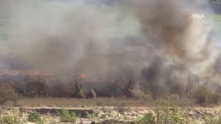 Lake Piru Encampment Fire [upl. by Sharon]