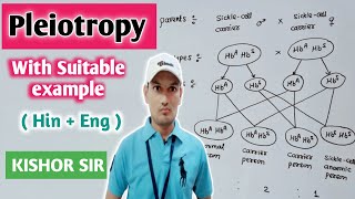 Pleiotropy  Definition  Cross  Example  Genetics  Bio  Class 12  Hindi  English Kishor Sir [upl. by Ettedanreb]