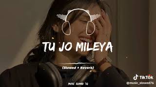 TU JO MILEYA ❤️ SLOWED AND REVERB song [upl. by Orsino]