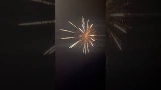 Sonny fireworks 7th sense trending crackers firecracker 2024 fireworks viralvideo diwali [upl. by Aicenad]