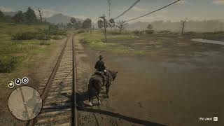 72 Tricolored Heron location RDR2 [upl. by Neehsas491]