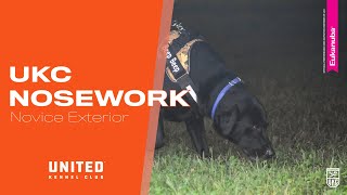 UKC Nosework Novice Class Exterior [upl. by Chryste]