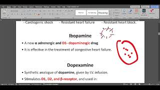 ANS Synthetic sympathomimetics [upl. by Noramac]