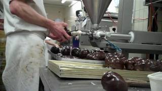 Bossche Bollen van Jan de Groot [upl. by Onitselec]