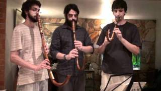 16th Century music on crumhorns  Susato  Crumhorn Trio  Die vier Branlen [upl. by Sackman831]