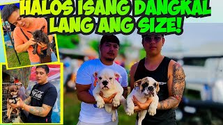 BAGYO ANG DATING NG EB NI MJ BOCAUE PET MARKET UPDATE [upl. by Switzer]