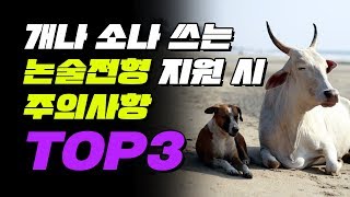 수시 논술전형 지원 시 주의사항 TOP3  입시덕후 [upl. by Candi]