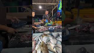 Ikan segar di Ujong Blang Lhokseumawe music coversong [upl. by Adas]