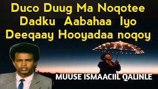 Muuse Ismaaciil Qalinle deeqa  Dadku aabahaa iyo  awrka dabarka  muuse ismaaciil qalinle ubaxoo [upl. by Ahsiam]