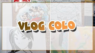 Vlogcolo 11  fil rouge colo en commun achat Mulan a lhonneur [upl. by Dragde461]