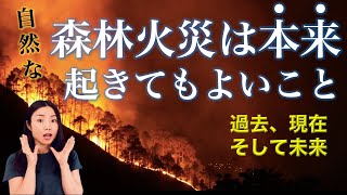 【混同するな】自然な森林火災と現代の大規模森林火災 [upl. by Rooker]