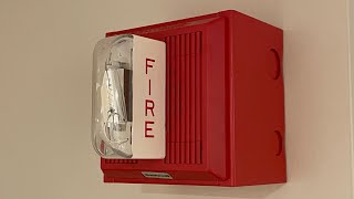 Basement Fire System Test 29  Honeywell Fire Alarms Wheelock MT Horn Strobes [upl. by Oriane489]