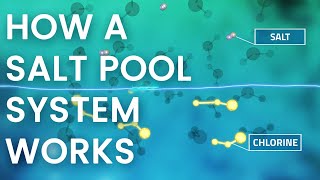 How Does a Pool Salt System Work  In 60 Seconds [upl. by Crowe30]