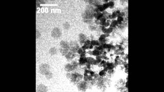 Poseidon Select Liquid™ In Situ Cell Salt Crystallization 5fps [upl. by Graniah261]