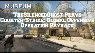 CSGO  Operation Payback Museum Pubbing [upl. by Trellas]