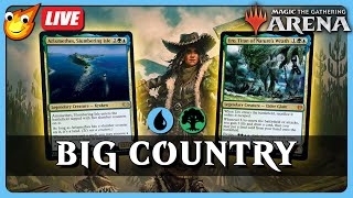 🔴 LIVE  Standard Showcase amp Simic Bonny Pall Brawl  14 Rares  Midweek Magic MTG Arena [upl. by Knox]