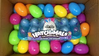 Hatchimals Colleggtibles Surprise Eggs in the Box Learn Rainbow Colors [upl. by Hopper]