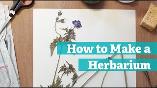 How to Make a Herbarium [upl. by Curzon]