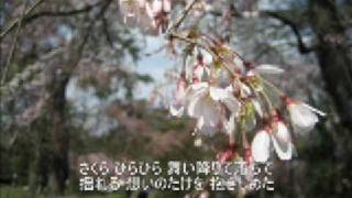 【歌の部屋】83 いきものがかり SAKURA [upl. by Ilatfen320]